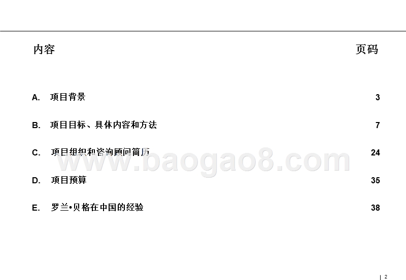 电气咨询项目建议书.ppt_第2页