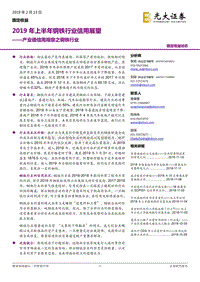 产业债信用观察之钢铁行业：2019年上半年钢铁行业信用展望.pdf