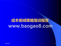成本削减策略培训报告.ppt