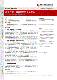电力设备新能源行业：电力电子行业系列报告2--百花齐放，掘金充电桩千亿市场.pdf