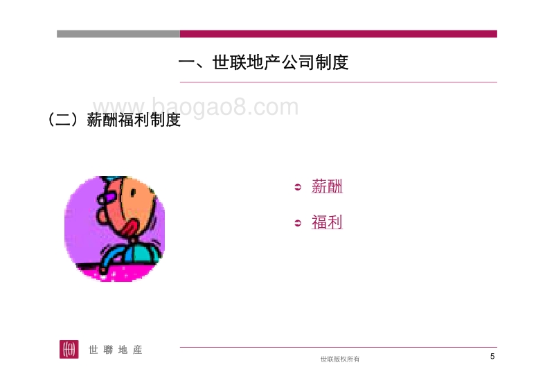 世联地产员工手册.pdf_第5页