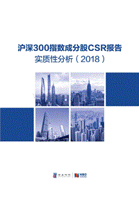 2018沪深300指数成分股CSR报告实质性分析.pdf