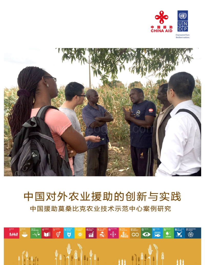 中国对外农业援助的创新与实践.pdf_第1页
