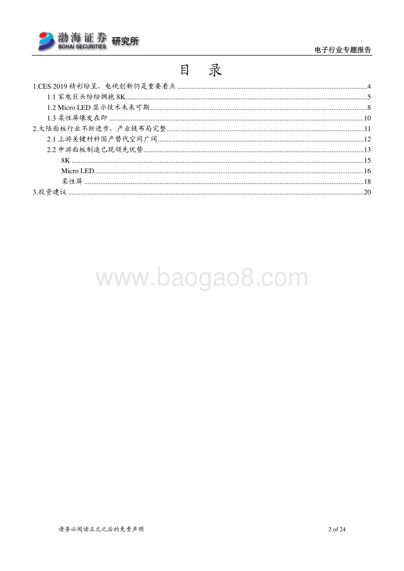 电子行业专题报告：CES2019落幕，电视面板创新势不可挡.pdf_第2页