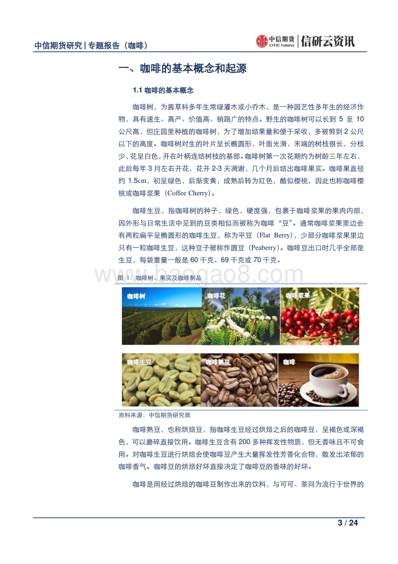 咖啡产业链系列专题报告（一）.pdf_第3页