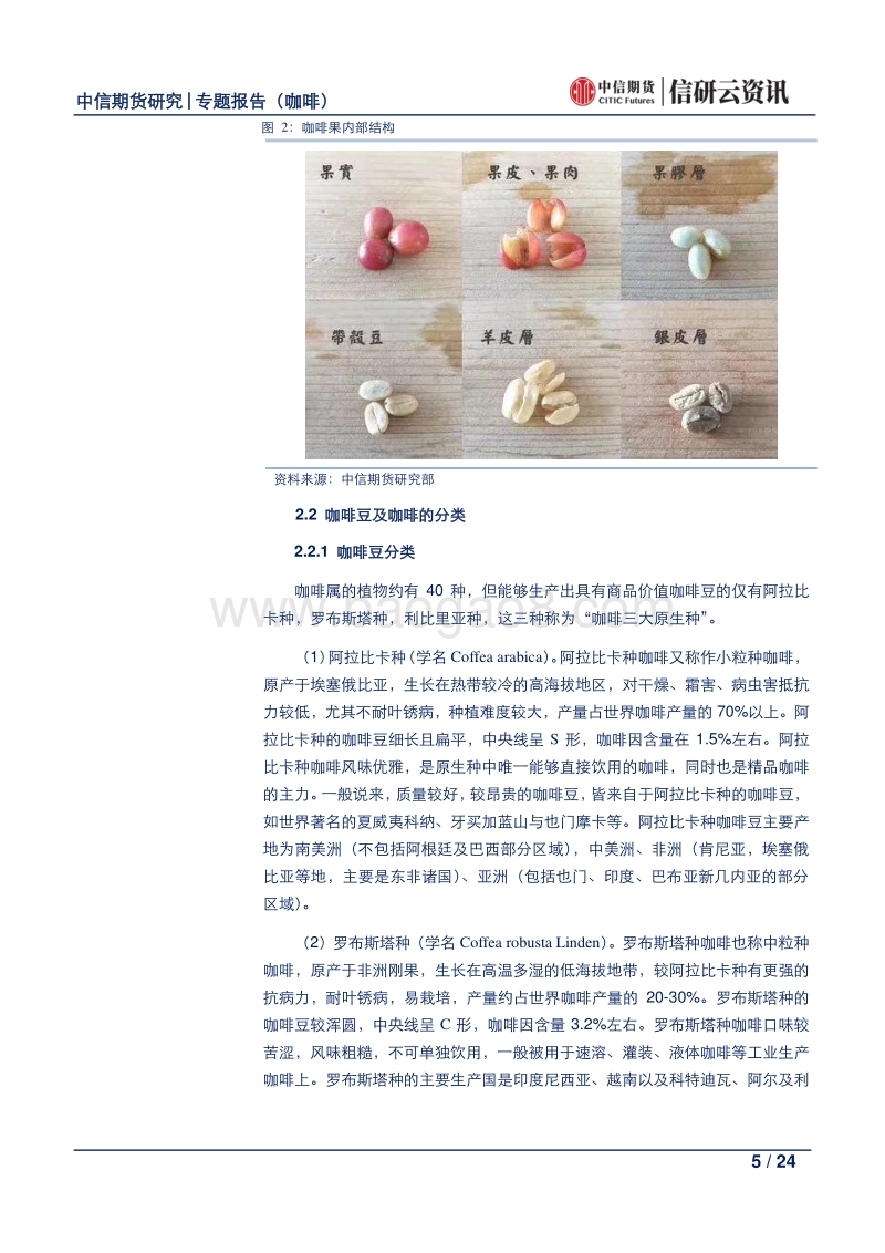 咖啡产业链系列专题报告（一）.pdf_第5页
