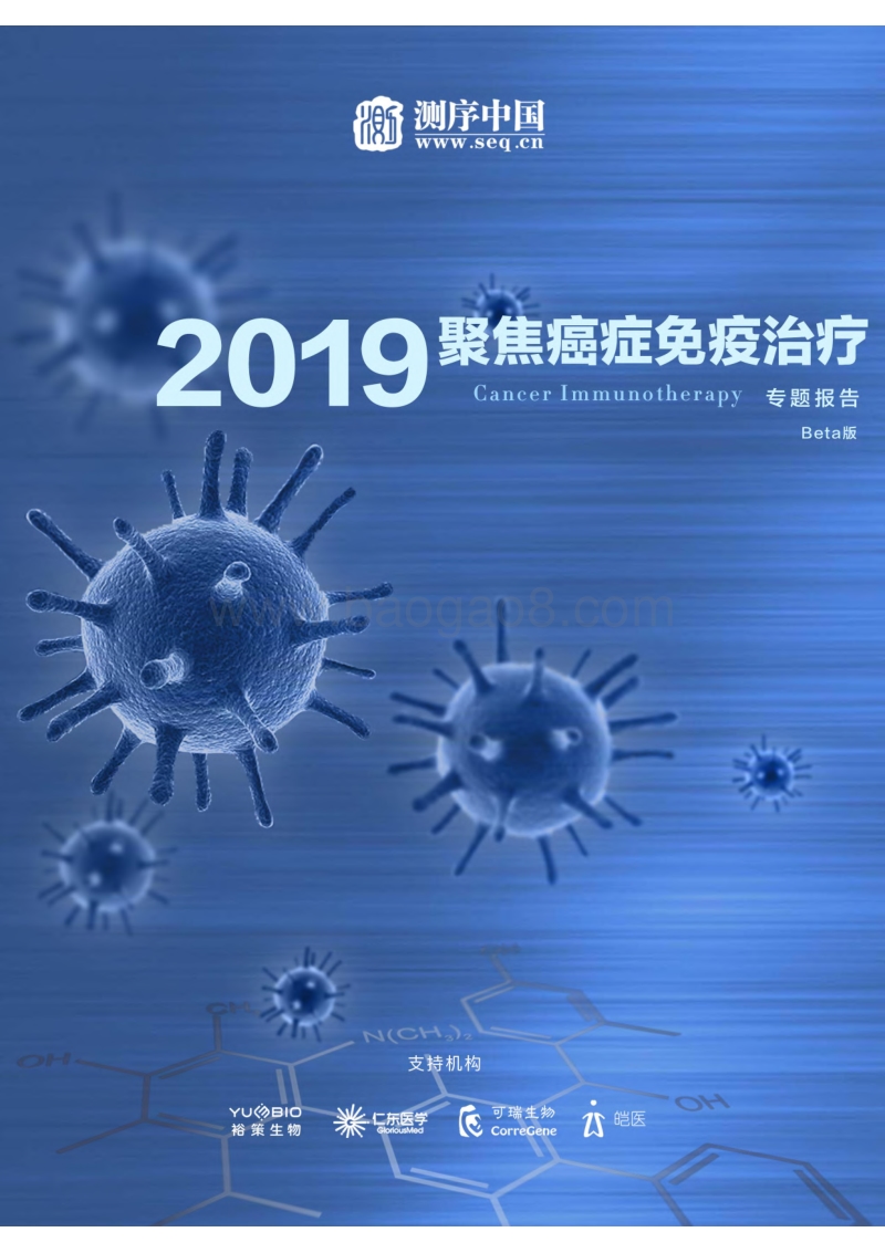 2019癌症免疫治疗专题报告.pdf_第1页