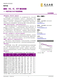 电子行业2019年投资策略：破晓，5G、IC、IOT曙光明朗.pdf