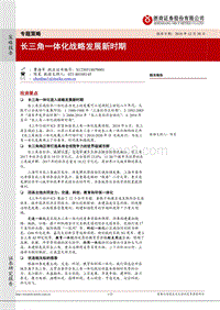 长三角一体化战略发展新时期.pdf
