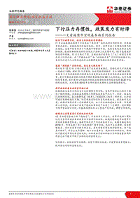 一文看遍债市宏观基本面系列报告：下行压力存惯性，政策发力有时滞.pdf