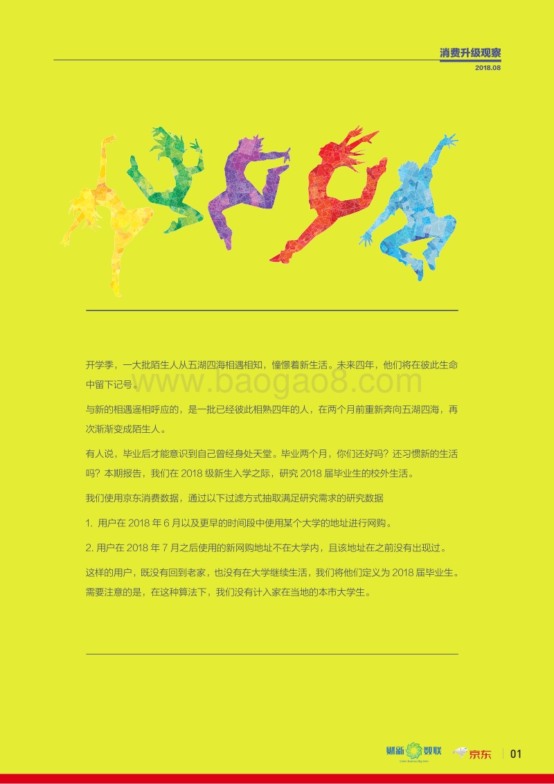京东消费报告201808.pdf_第2页