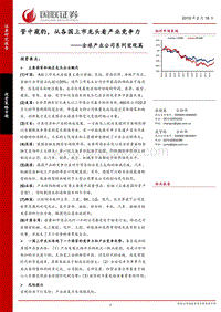 全球产业公司系列宏观篇：管中窥豹，从各国上市龙头看产业竞争力.pdf