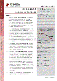 纺织服装行业2019年投资策略报告：消费承压谨慎布局.pdf