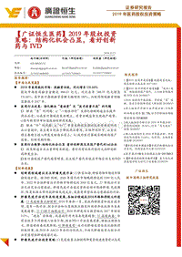 2019年医药股权投资策略：结构化机会凸显，看好创新药与IVD.pdf