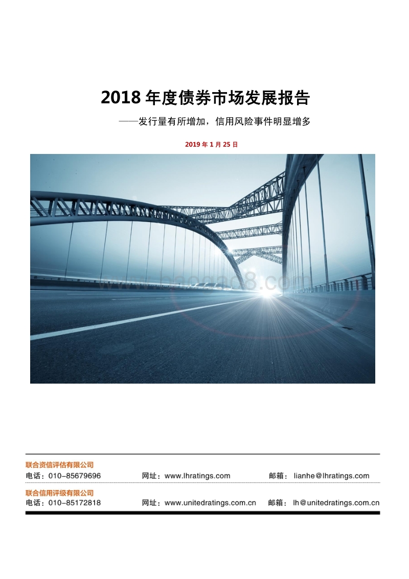 2018年度债券市场发展报告.pdf_第1页