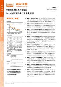 2019年石油石化行业十大猜想.pdf