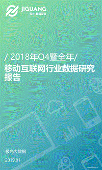 2018年Q4暨全年移动互联网行业数据研究报告.pdf