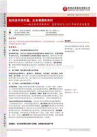 地方政府债务现状、监管路径与2019年融资渠道展望：铅华洗尽依丰盈，正本清源终有时.pdf