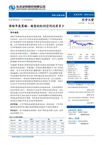 保险年度策略：转型的红利空间还有多少.pdf