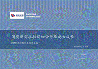 2019年纺服行业投资策略：消费新需求拉动细分行业龙头成长.pdf