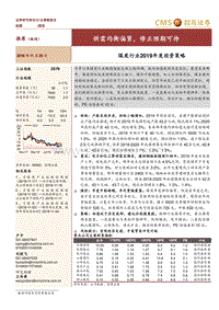 煤炭行业2019年度投资策略：供需均衡偏紧，修正预期可待.pdf