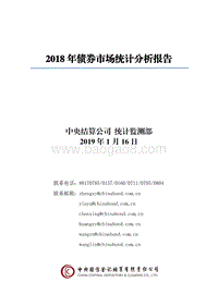 2018年债券市场统计分析报告.pdf