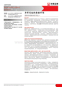 票据专题报告系列之一：异军突起的票据市场.pdf