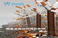 烟草及其对环境的影响：概述.pdf
