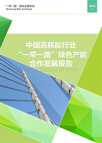 中国高耗能行业“一带一路”绿色产能合作发展报告.pdf