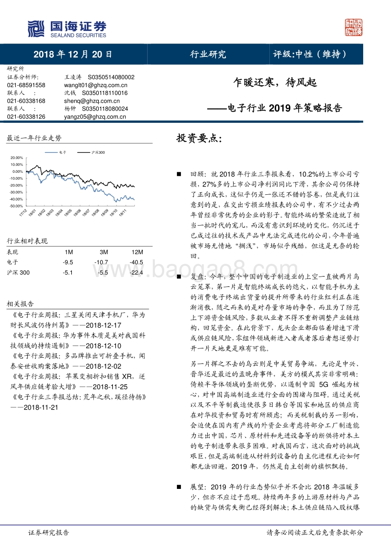 电子行业2019年策略报告：乍暖还寒，待风起.pdf_第1页