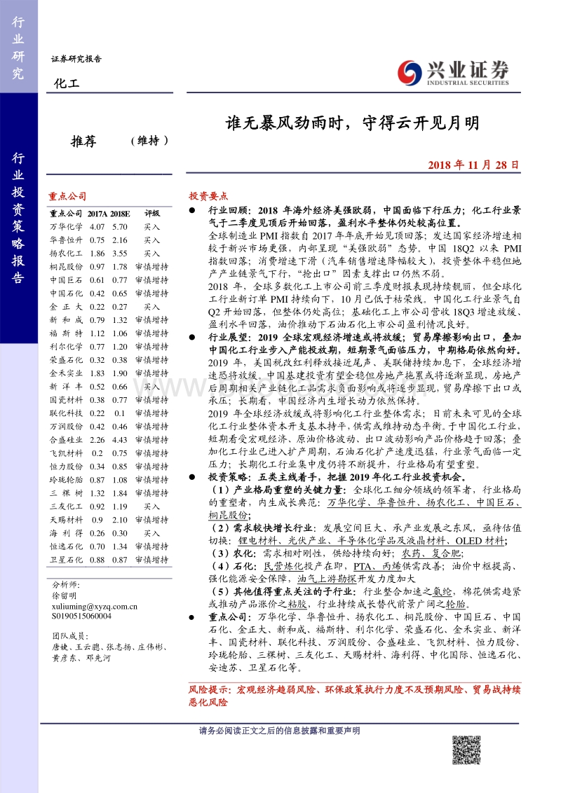 化工行业2019投资策略报告：谁无暴风劲雨时，守得云开见月明.pdf_第1页