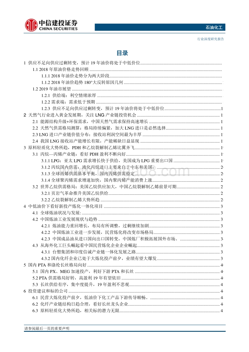 2019石油化工年度策略：产业链不断延伸，中国民营化工逆势崛起.pdf_第2页