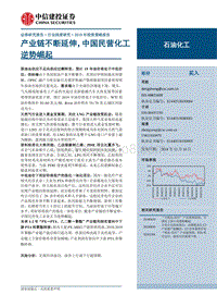 2019石油化工年度策略：产业链不断延伸，中国民营化工逆势崛起.pdf