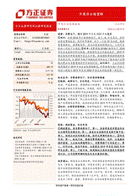 纺织服装行业年度策略报告：不畏浮云遮望眼.pdf
