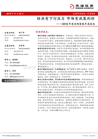 2019年度宏观策略年度报告：经济有下行压力，市场有政策利好.pdf