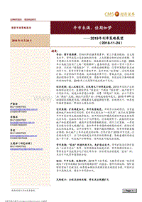 2019年利率策略展望：牛市未满，佳期如梦.pdf