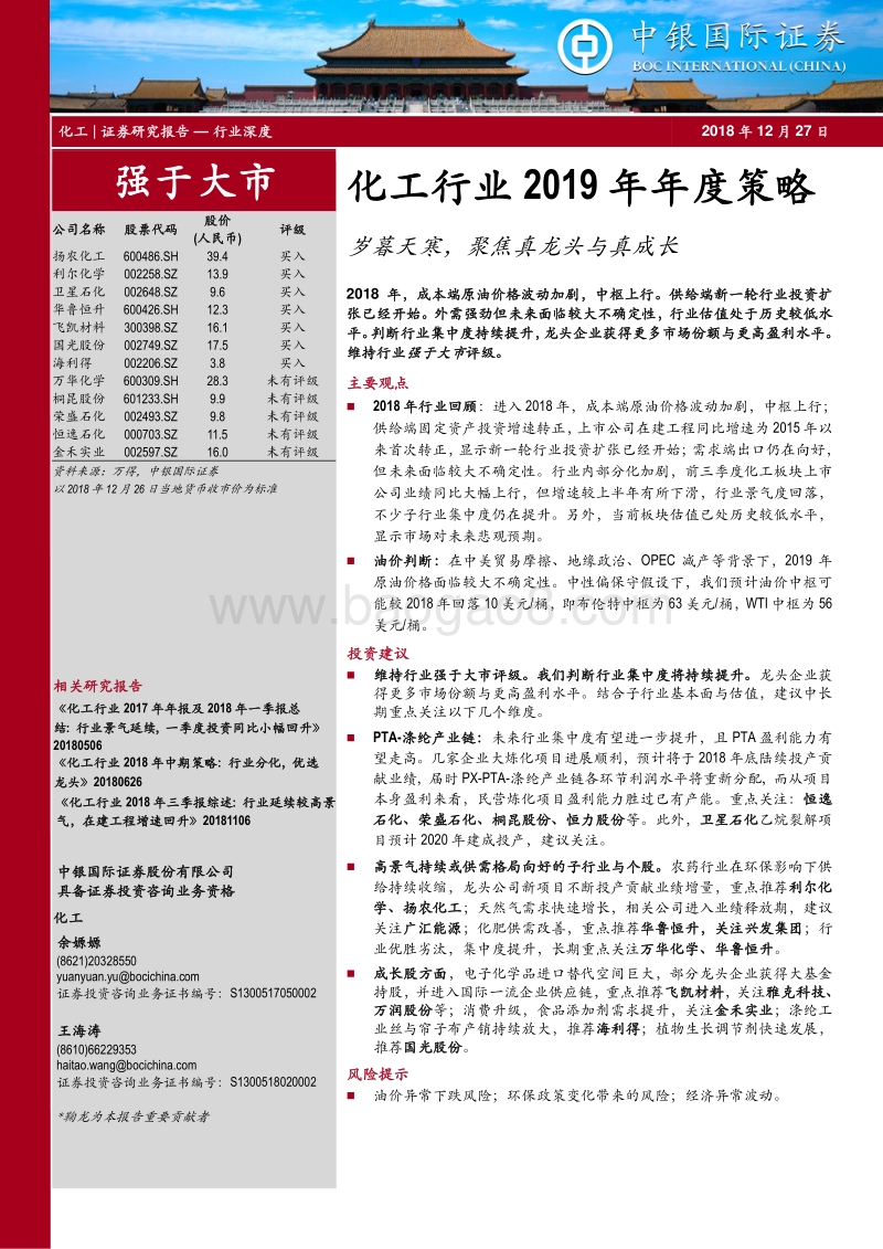 化工行业2019年年度策略：岁暮天寒，聚焦真龙头与真成长.pdf_第1页