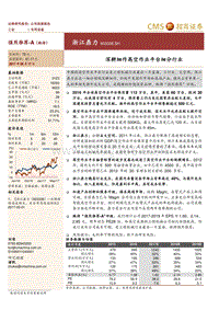 浙江鼎力：深耕细作高空作业平台细分行业.pdf