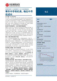 化工2019年策略报告：寒冬中孕育机遇确定中寻找成长.pdf