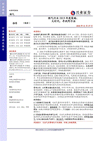 燃气行业2019年度策略：大时代，寻找阿尔法.pdf