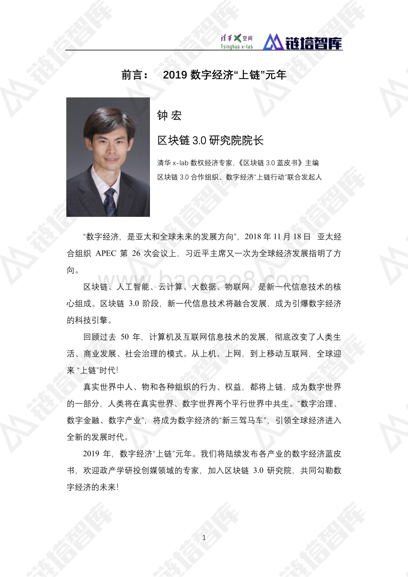 2019数字经济——新能源产业发展蓝皮书.pdf_第5页