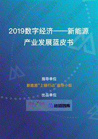 2019数字经济——新能源产业发展蓝皮书.pdf