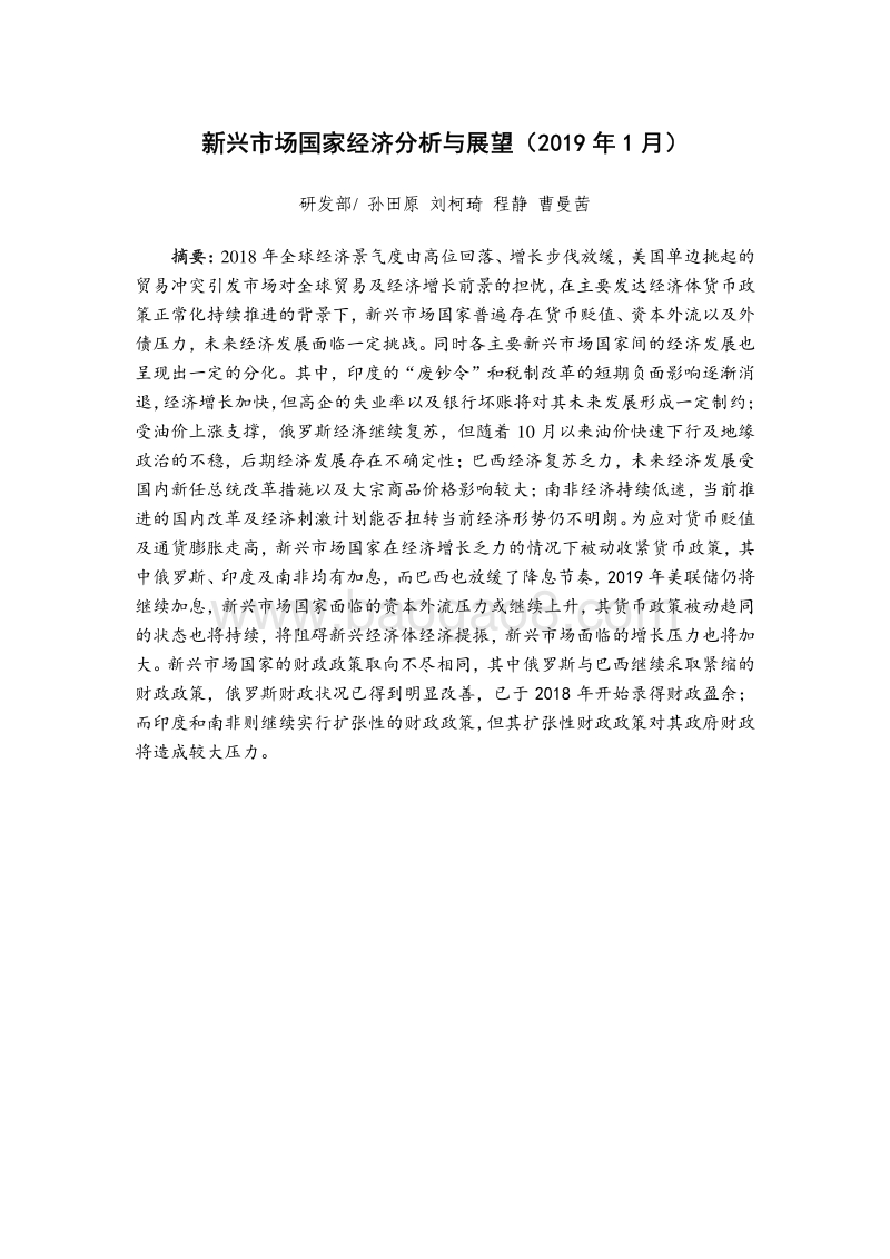 新兴市场国家经济分析与展望.pdf_第2页