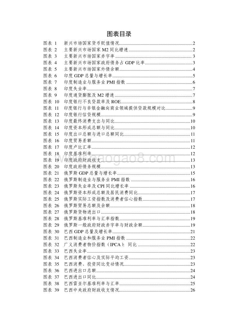 新兴市场国家经济分析与展望.pdf_第4页