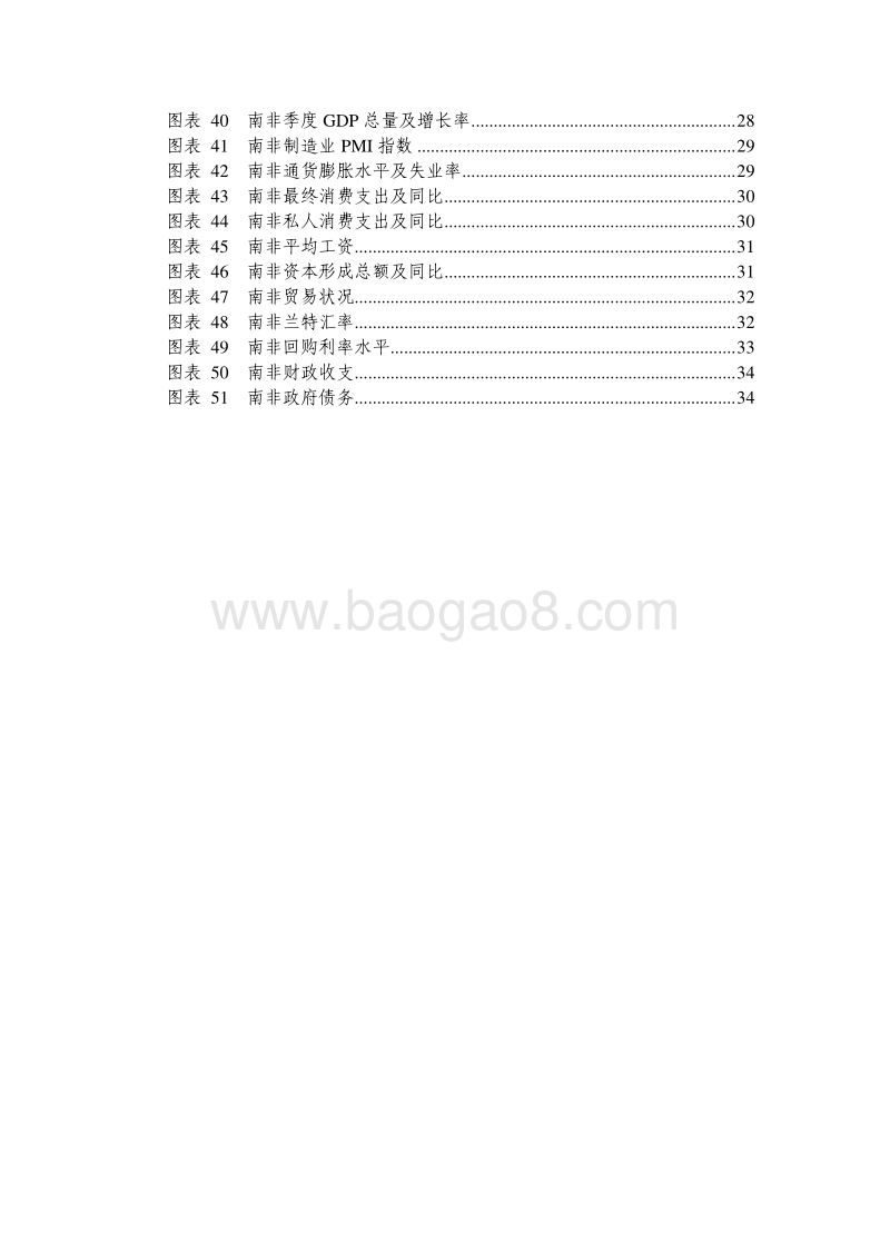 新兴市场国家经济分析与展望.pdf_第5页