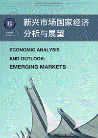 新兴市场国家经济分析与展望.pdf