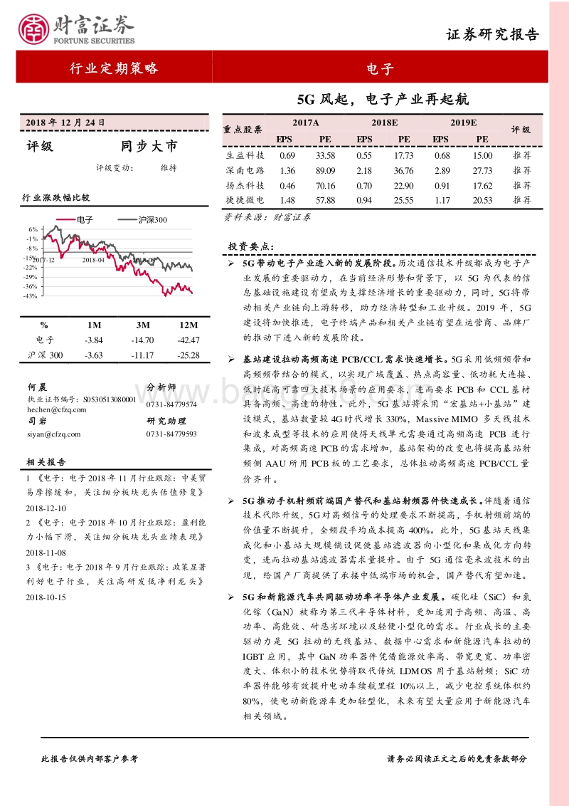 电子行业2019年年度策略：5G风起，电子产业再起航.pdf_第1页