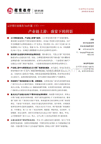 云计算行业报告IaaS篇（下）：产业链上游：盛宴下的阴影.pdf