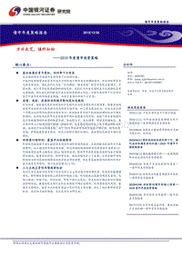 2019年度债市投资策略：方兴未艾，慎终如始.pdf