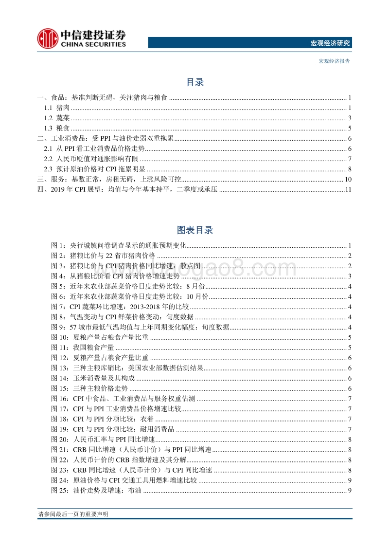 “通胀迷思”：2019年CPI展望.pdf_第2页
